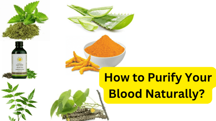 How to Purify Your Blood Naturally?