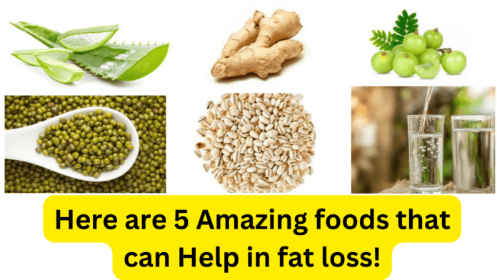 Here are 5 Amazing foods that can Help in fat loss